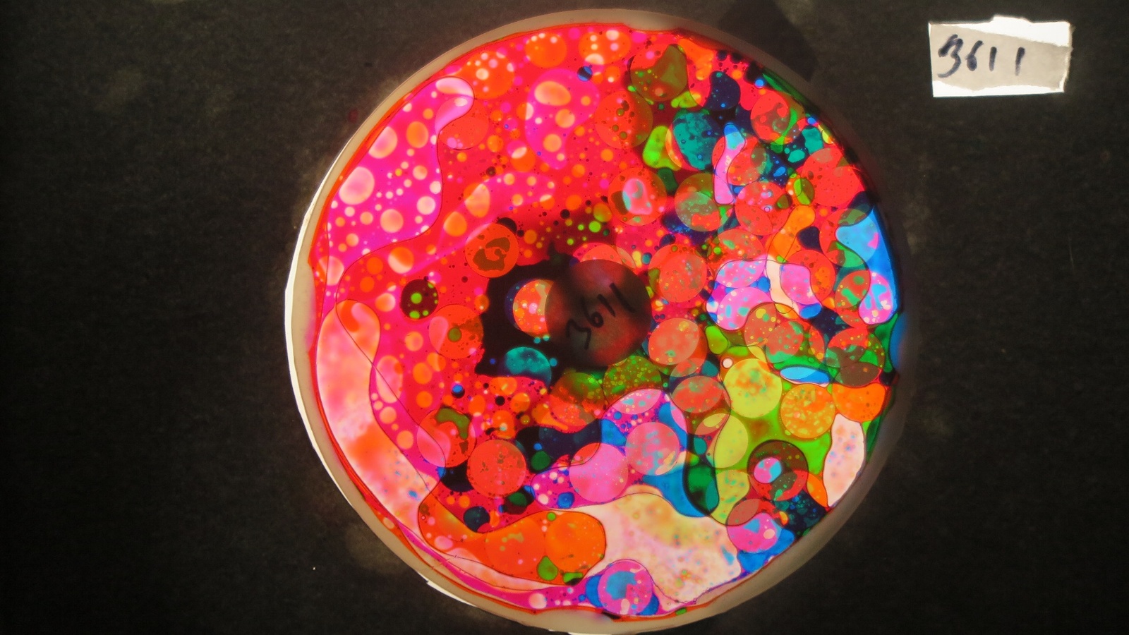 BV3611 bubble vision oil wheel